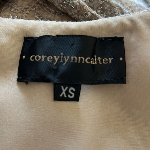 Corey Lynn Calter Anthropologie Metallic Lace Skater Mini Dress XS - Picture 12 of 13